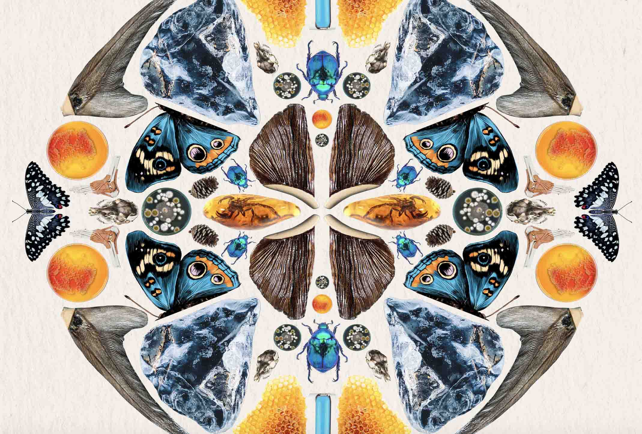 Symmetrical kaleidoscope artwork featuring blue butterflies, iridescent beetles, crystals, and orange circles in a mandala pattern.