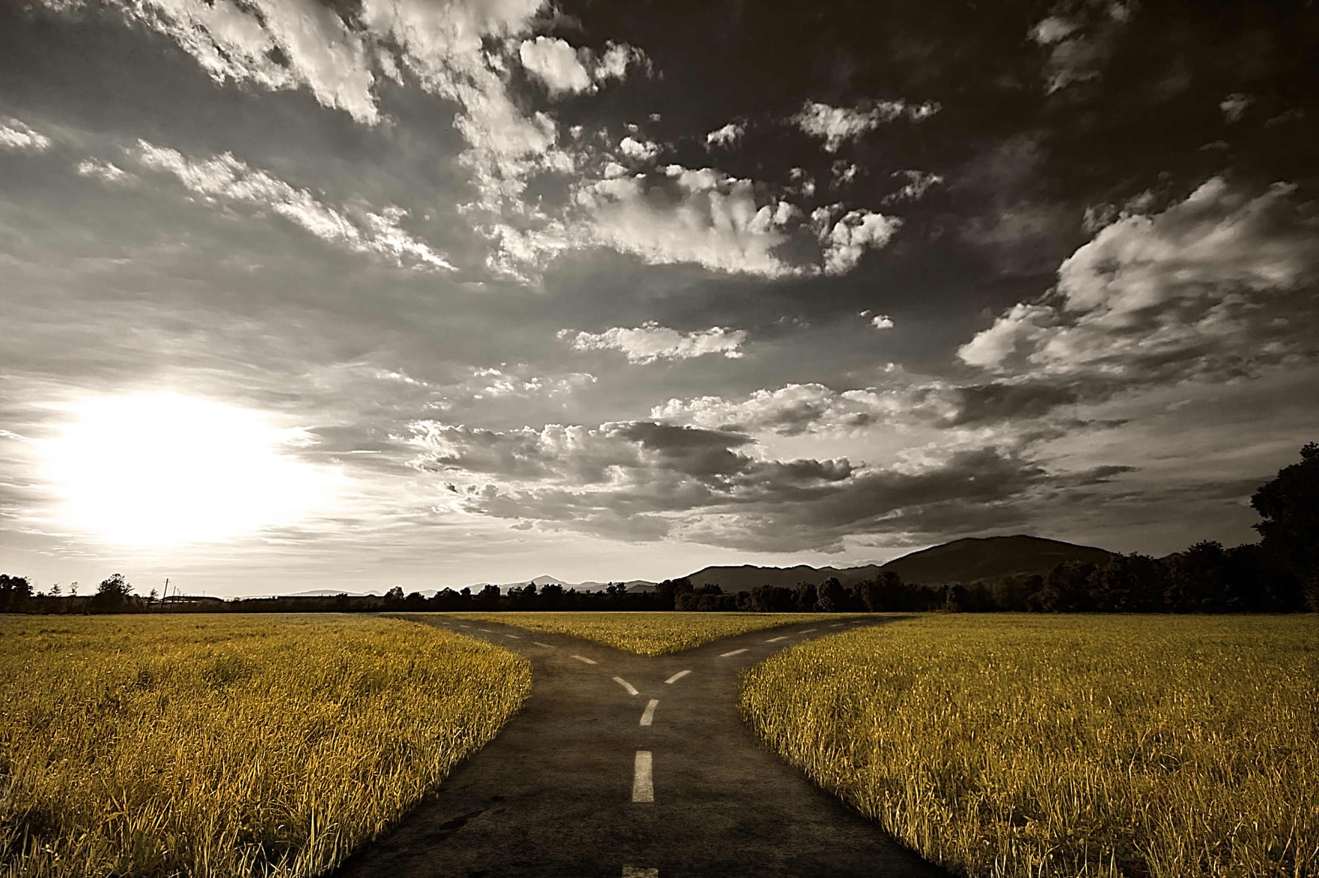 A forked road through golden wheat fields under dramatic cloudy sky with setting sun and distant mountains.